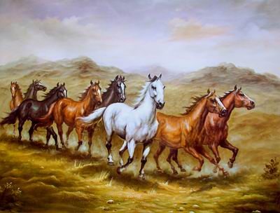 Horses 014